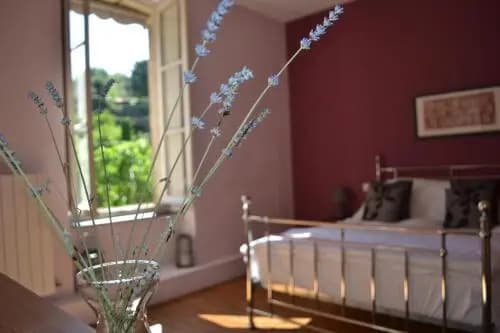 Les Marguerites - Photo 1
