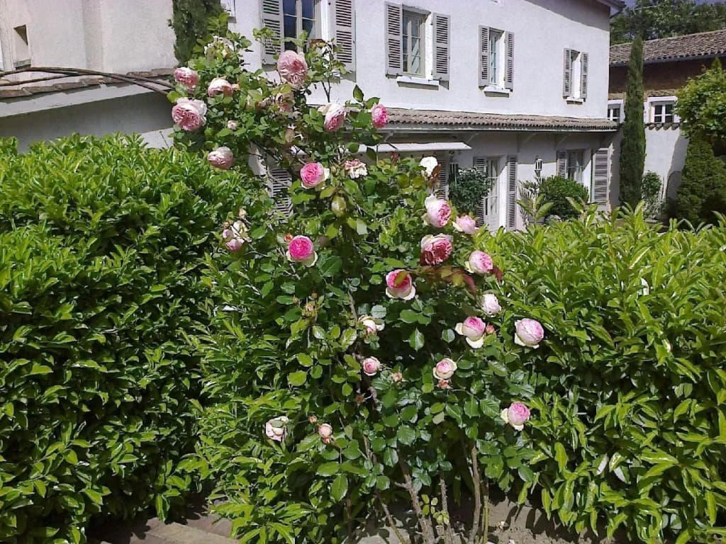 La Maison Epellius - Photo 1