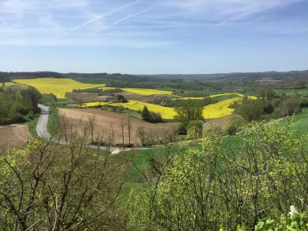 The Gite at No 1 Castelnau de Montmiral - Photo 1