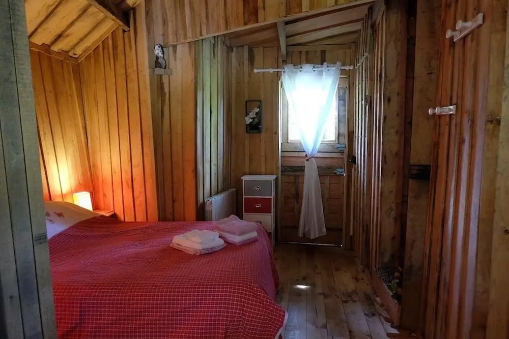 Cabane dans les Arbres - Tree House - Photo 1