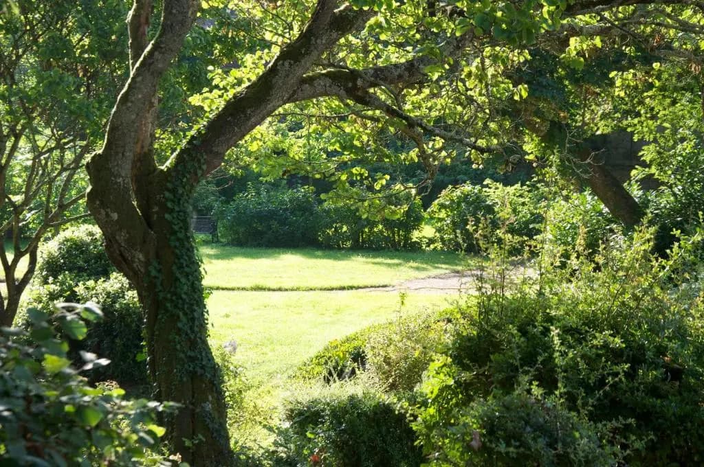 Château de la Chaise - Photo 1