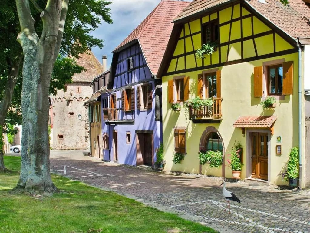 La Maison Jaune - Photo 1