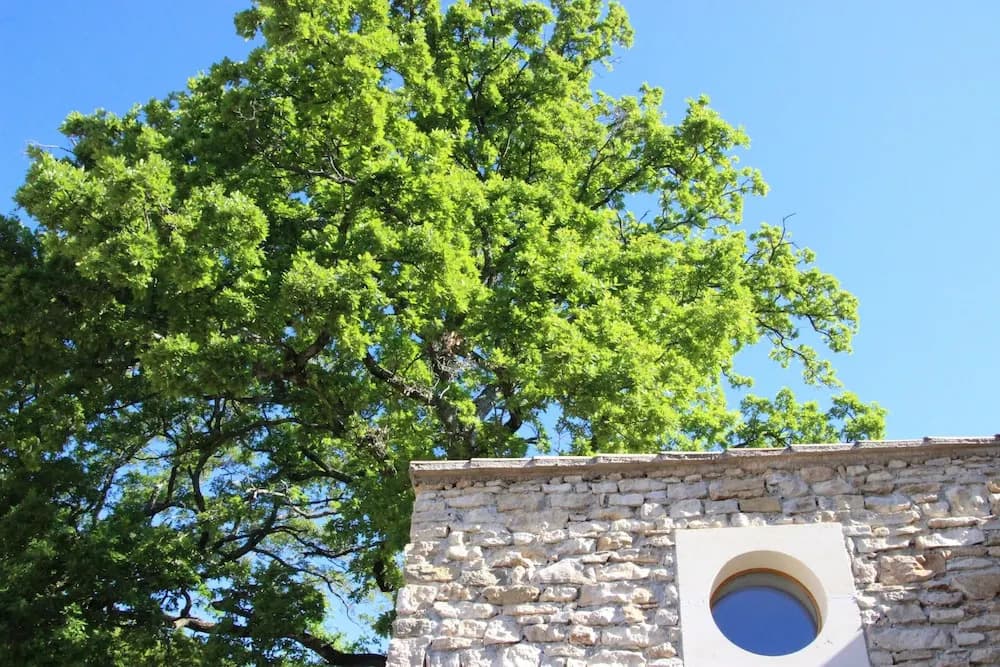 Hameau Fleur de Pierres B&B - Photo 1