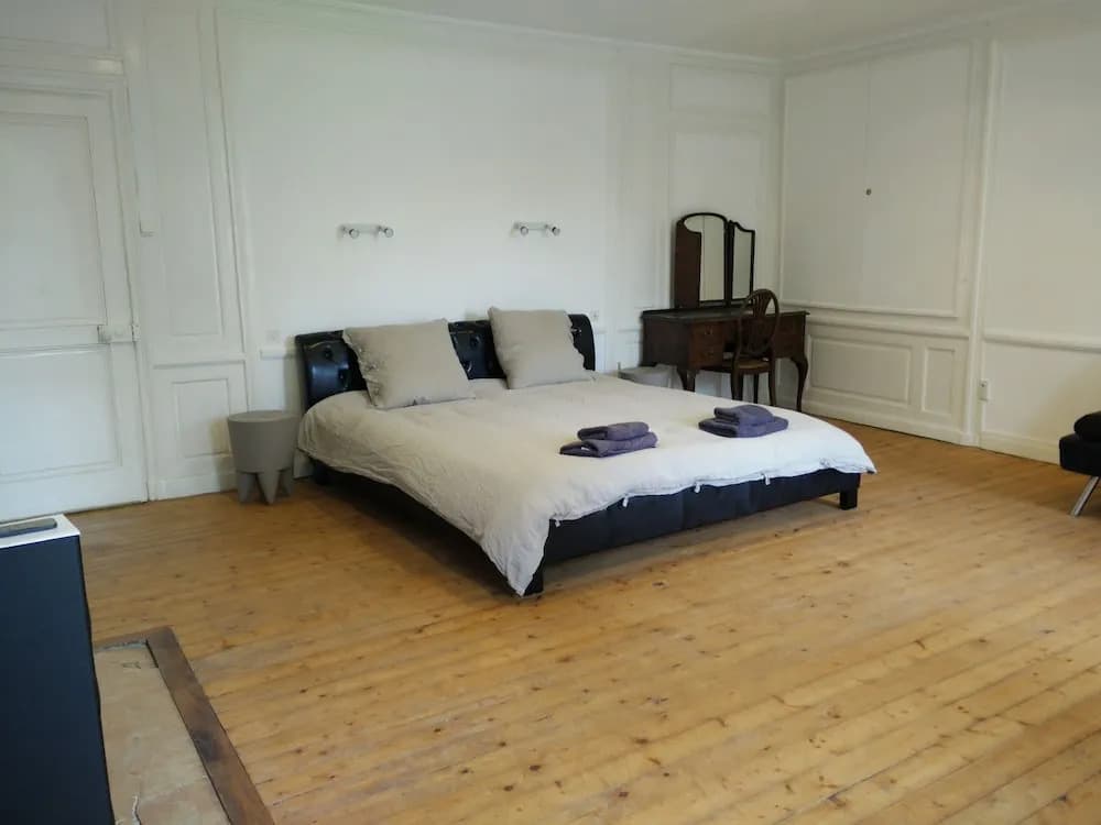 Château de Seurre - Photo 1