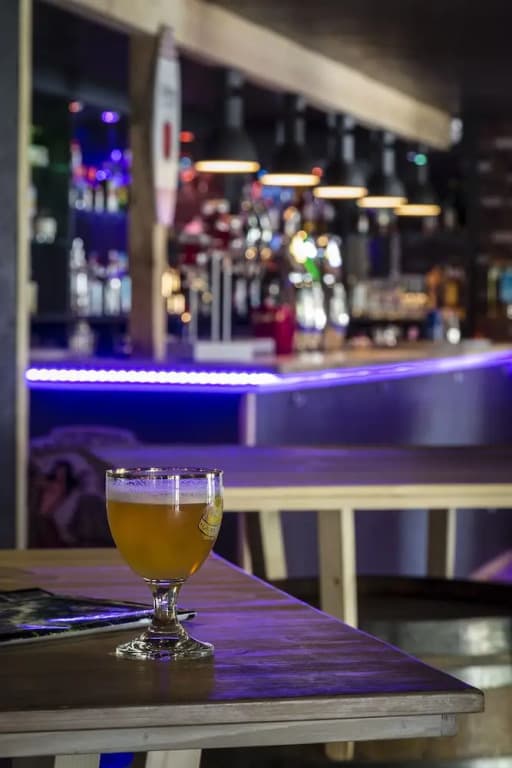 Hotel La Chapouliere - Photo 1