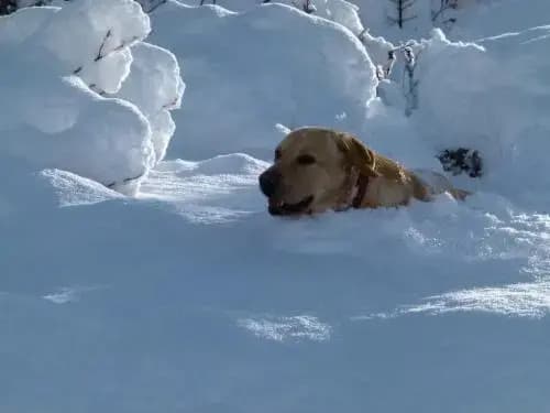 La Bastide du Garri - Photo 1