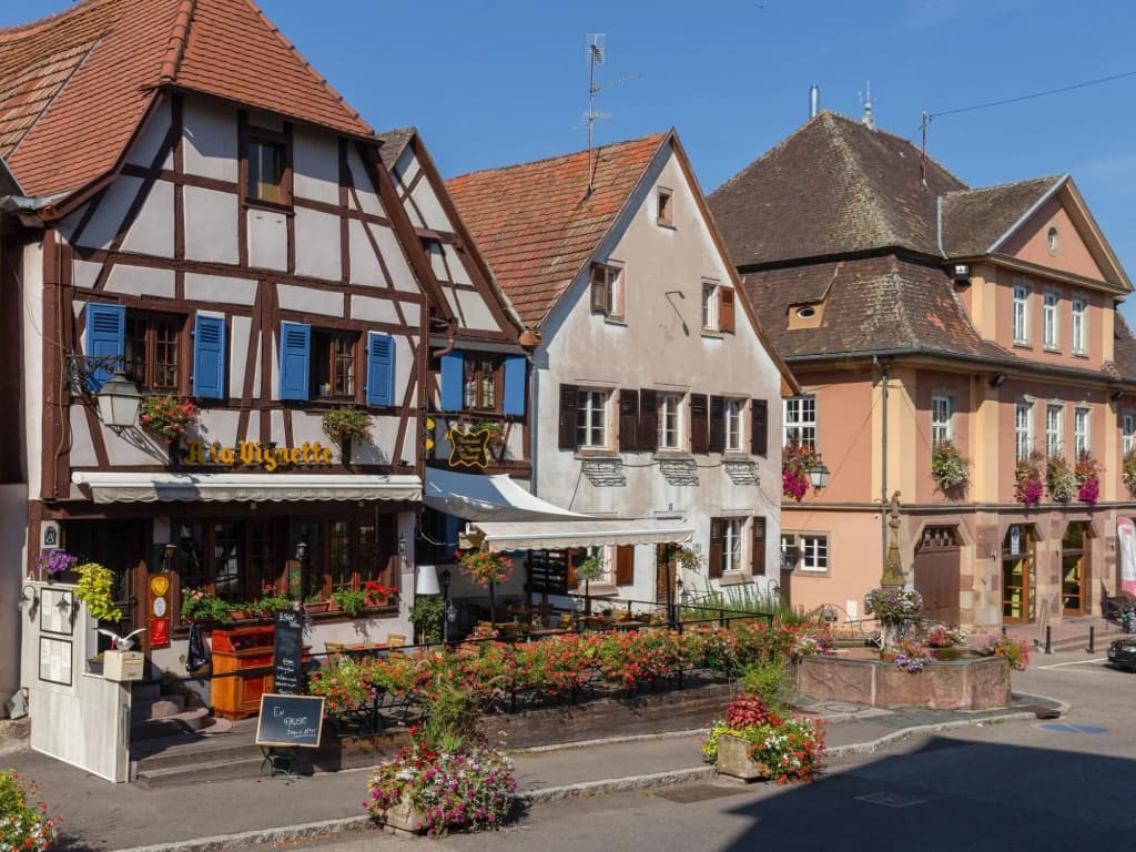 Apartment in Alsace Near Europa-park - Photo 1