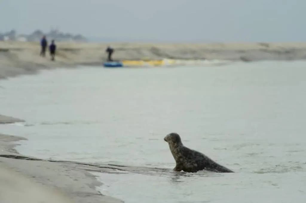 Cottage1 - 5 - Photo 1