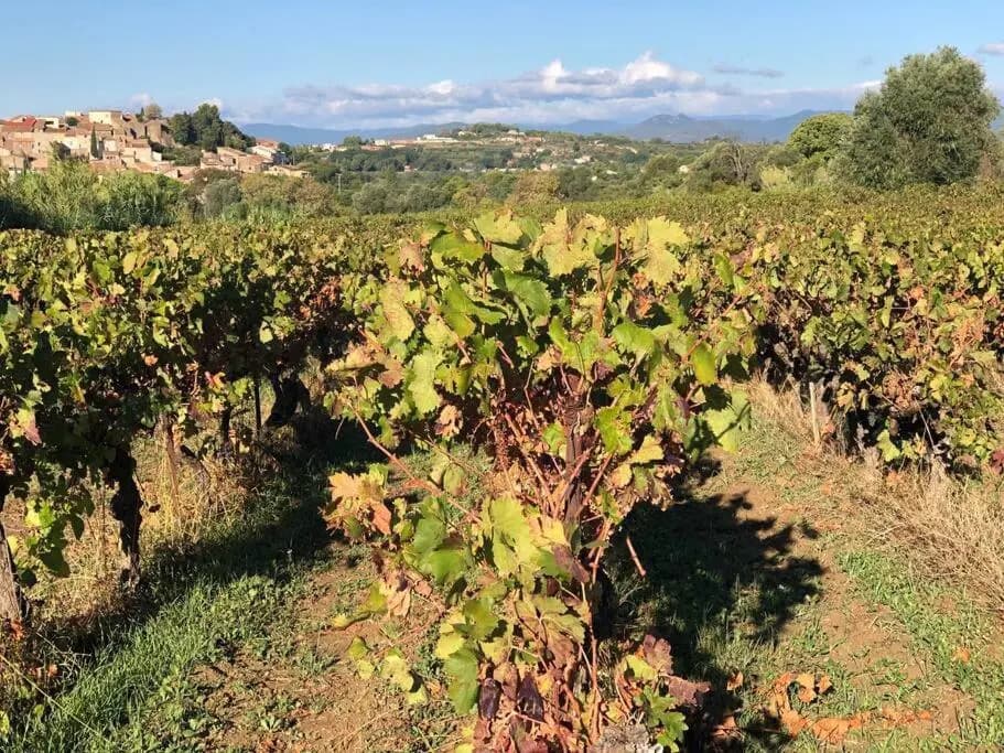 Magalas Apartment - Photo 1