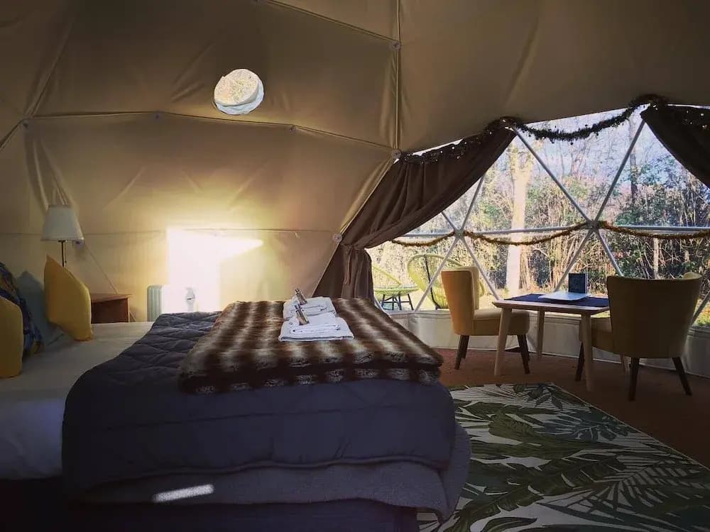 Tui's Nest Glamping - Photo 1