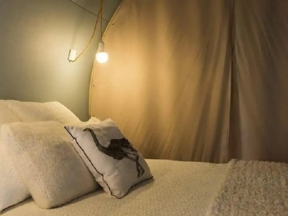 Coco Sweet - Photo 1