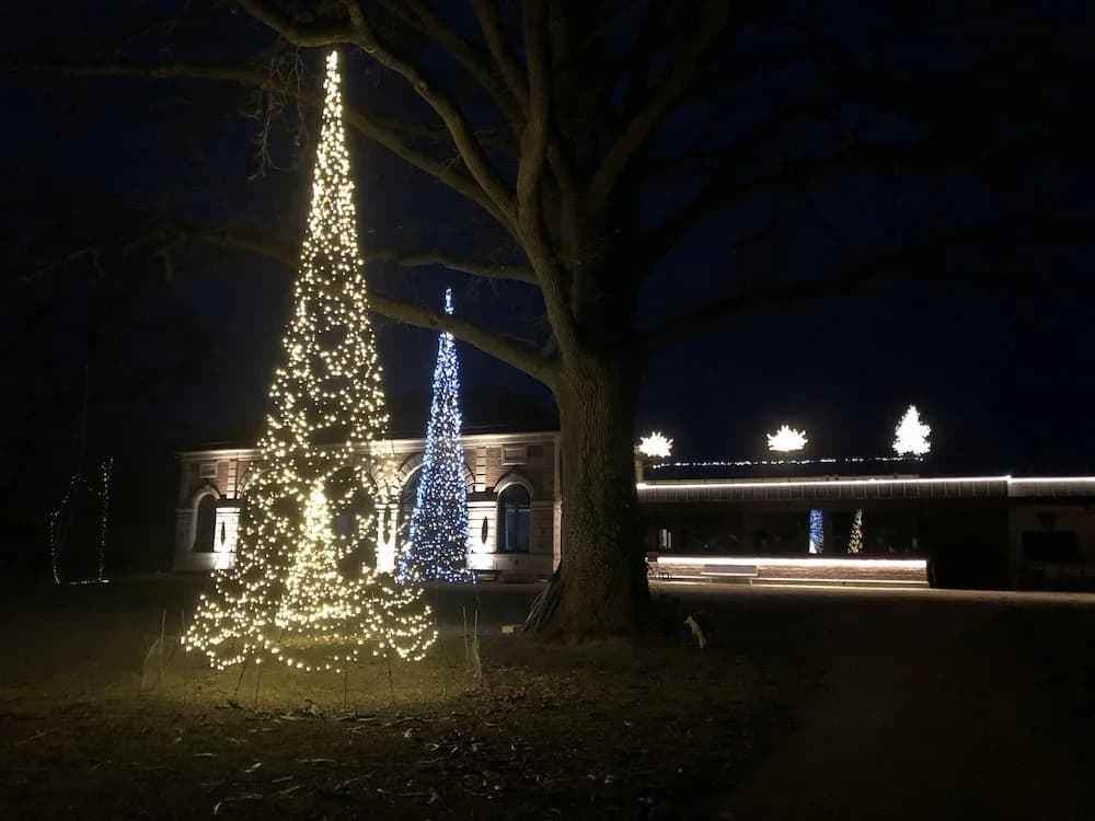 L'Orangerie de Châtel - Photo 1
