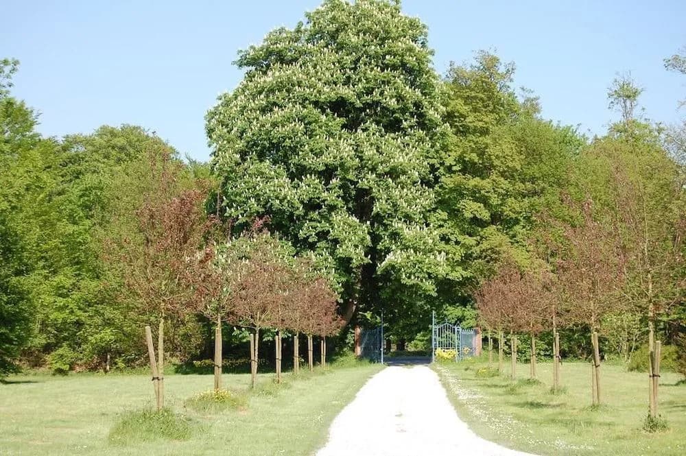 Manoir De La Plane B&B - Photo 1