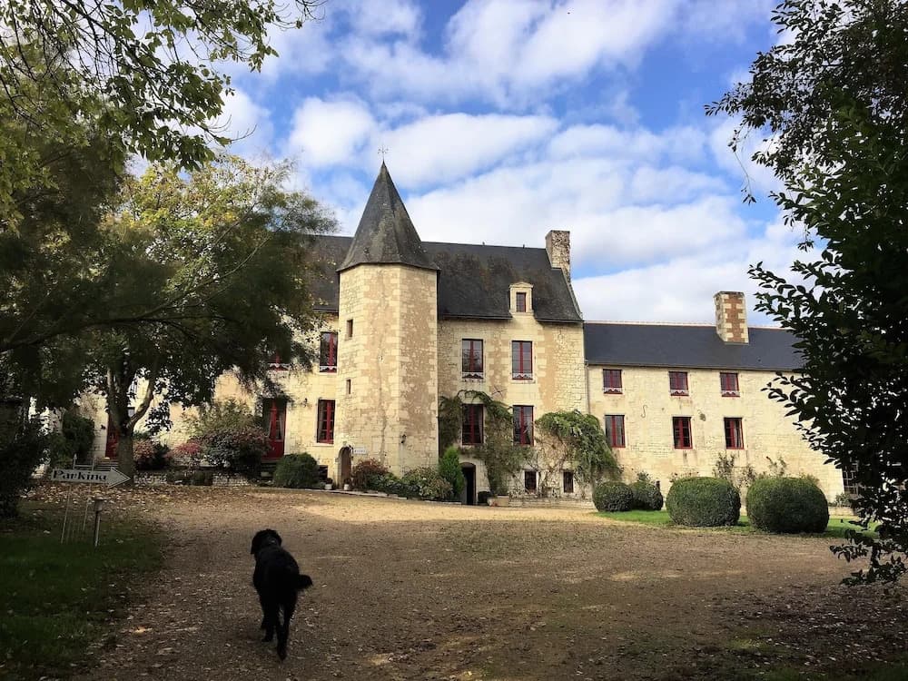 Au Prince Grenouille - Photo 1