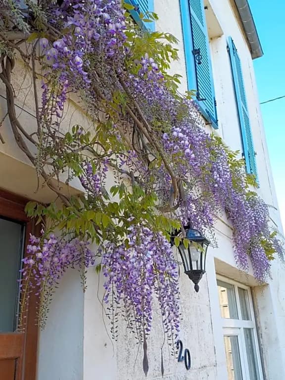 Maison Triton Et Porcelaine - Photo 1