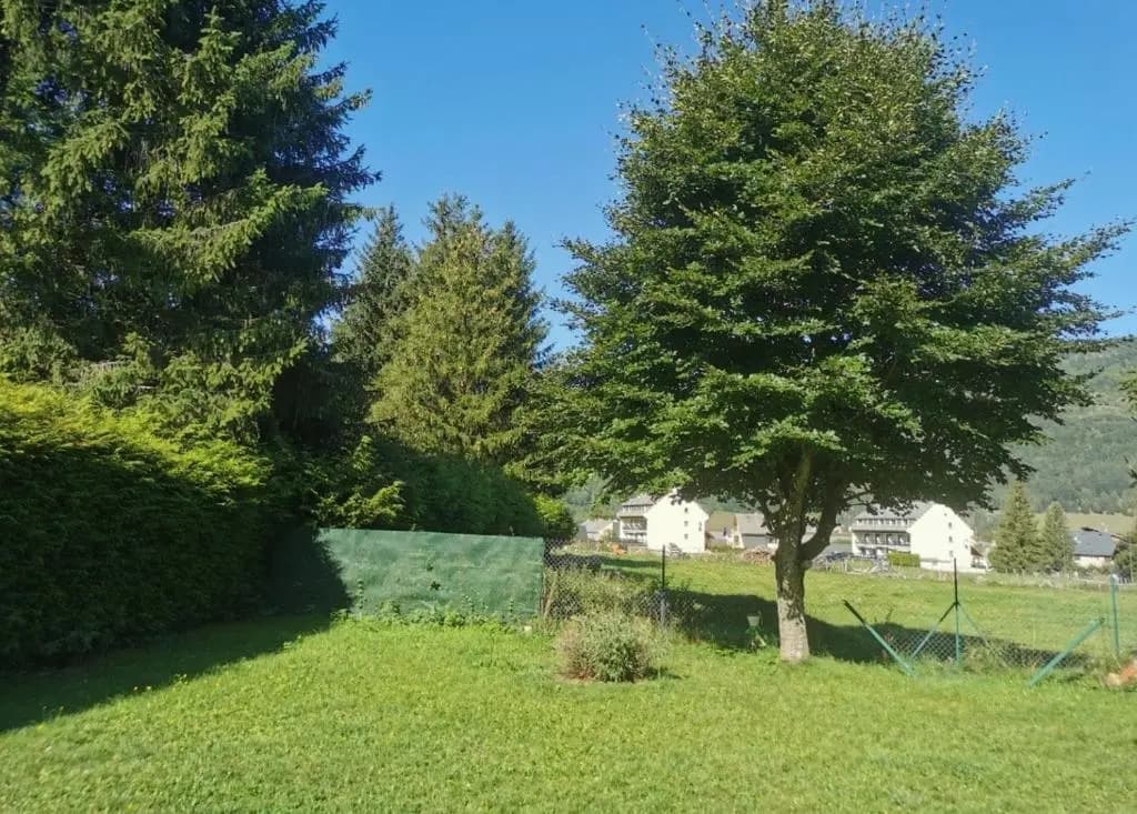 La Petite Jeannette - Photo 1