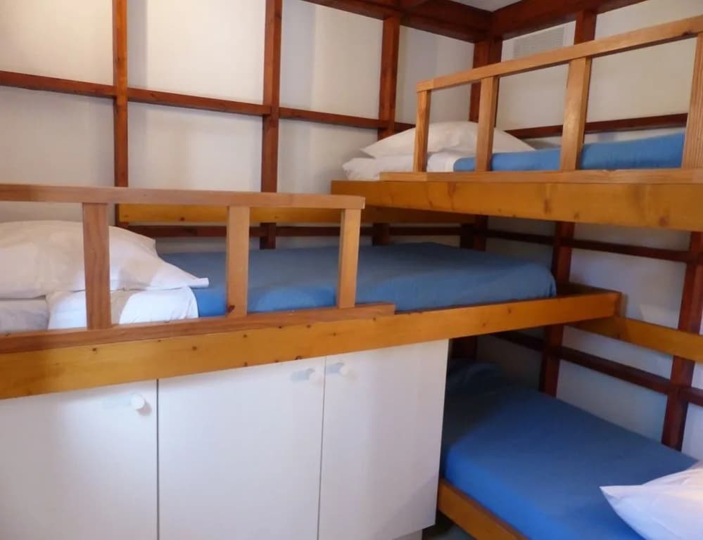 Les Oyats Sylvadoures - Photo 1