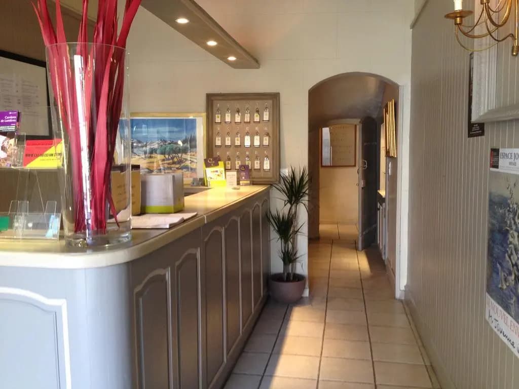 Hôtel les Magnanarelles - Photo 1