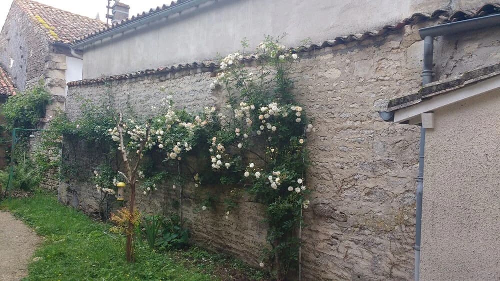 Chambre d'Hote Woody - Photo 1