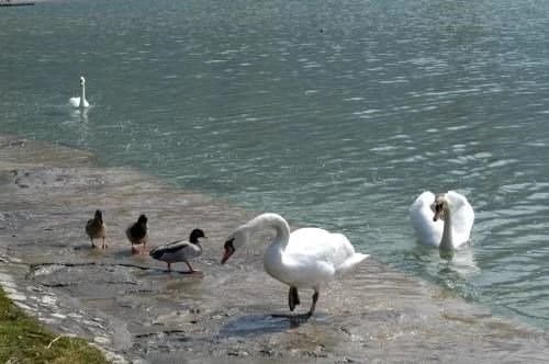 Chuuut ! Appartement centre historique - Photo 1