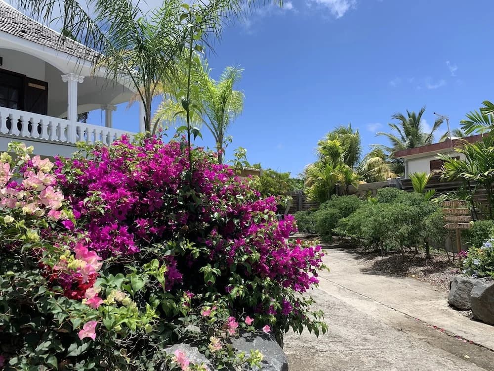 Domaine Saint-François - Photo 1