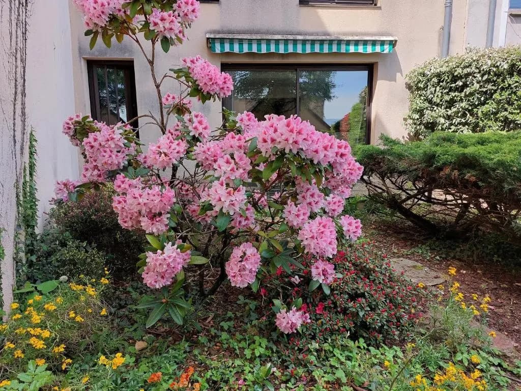 Le DenysPuech 55m2 plein centre avec jardin! - Photo 1