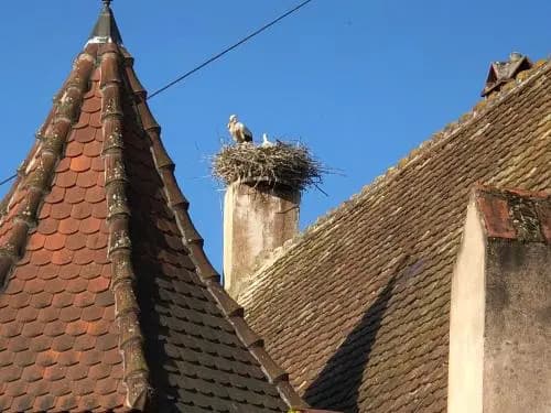 Le Grenier Des Arômes Au Domaine Wittmann - Photo 1