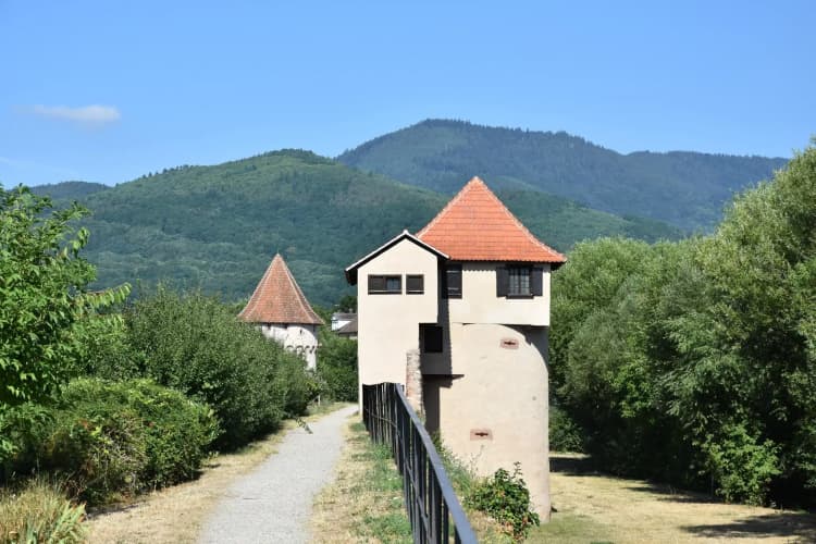 S'harzala Vert Bis