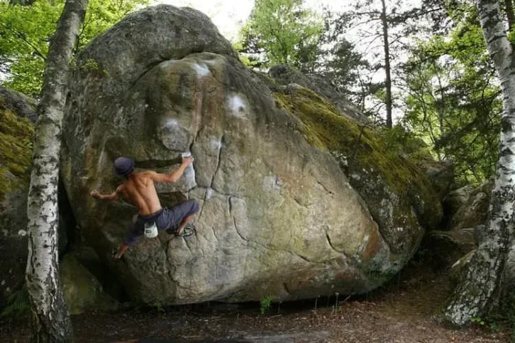 L'atelier by Sleepinfontainebleau