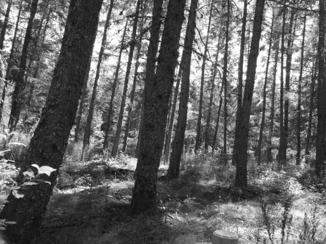 Gite de La Pierre Trouée