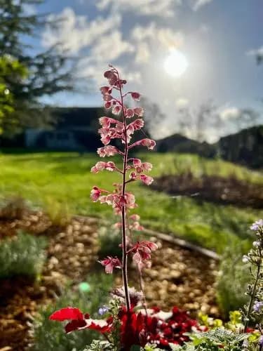 Appart'hôtel Le Clos du May