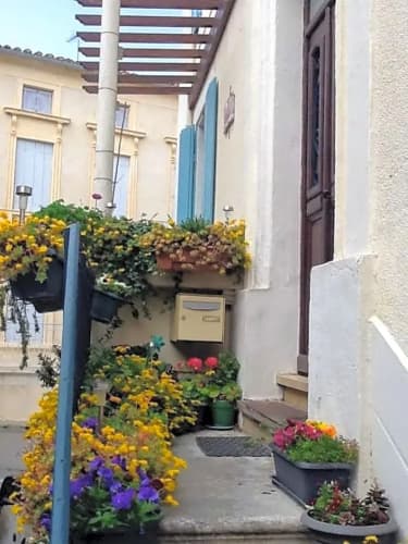 L'Orchidée
