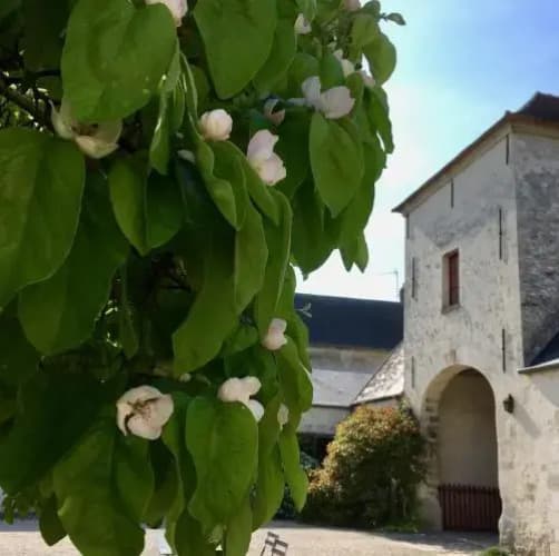 La Cour Lalouette