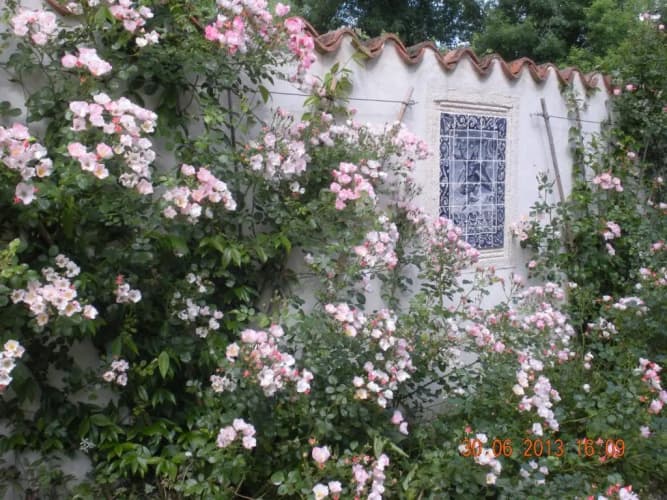 Moulin De Larcy