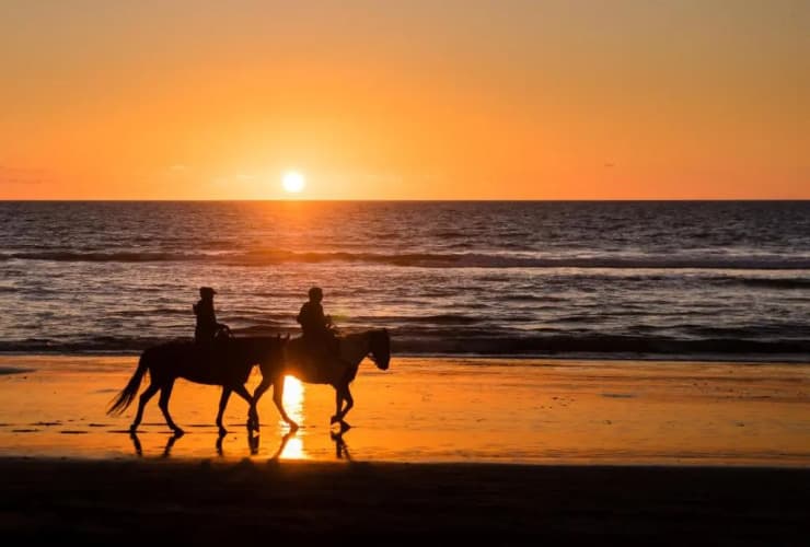 Résidence Saint Cyprien Plage