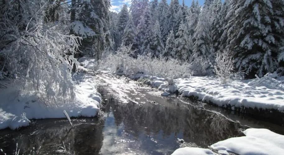 Domaine du Mas du Taillet