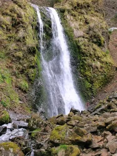 le monne (dit la fermette )