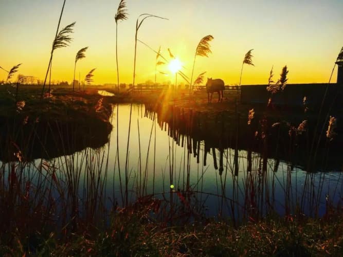 Appartement Saint-Jean-de-Monts, 1 pièce, 4 personnes - FR-1-323-30