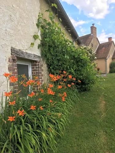 Catherine & Dominique