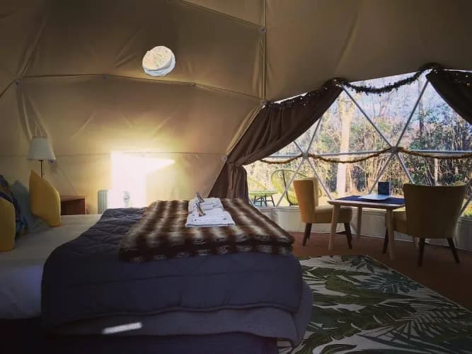 Tui's Nest Glamping