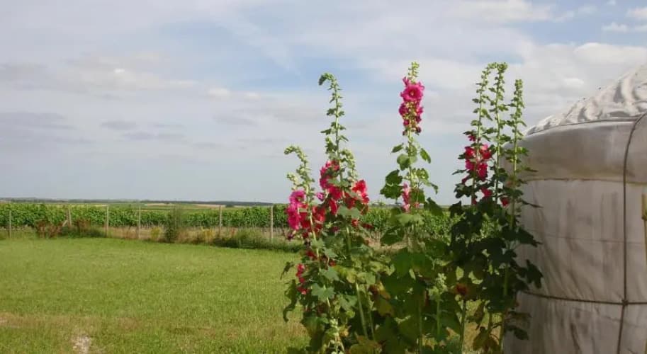 Yourtes Charentaises