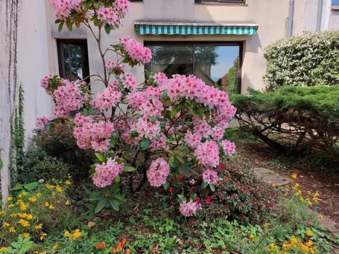 Le DenysPuech 55m2 plein centre avec jardin!