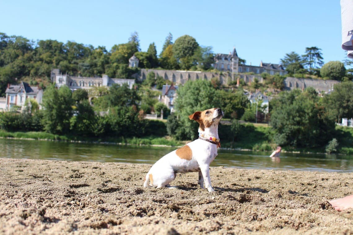 Parc de L’île de la Métairie