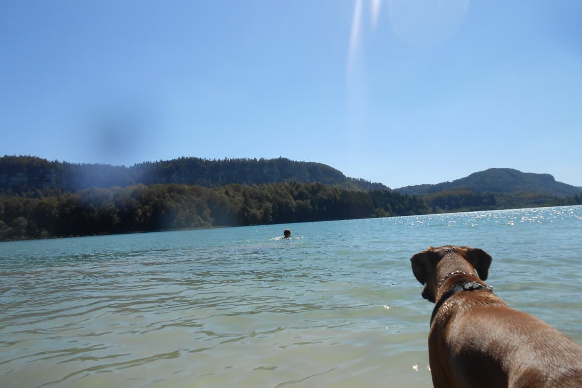 Lac d’Ilay et balade “Les 4 lacs”