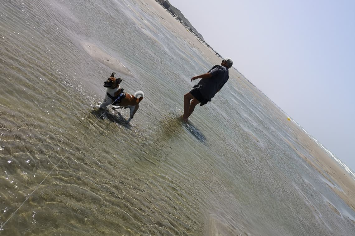 Plage Plage des Ecardines à Oye-Plage à Oye-Plage, chiens admis en laisse