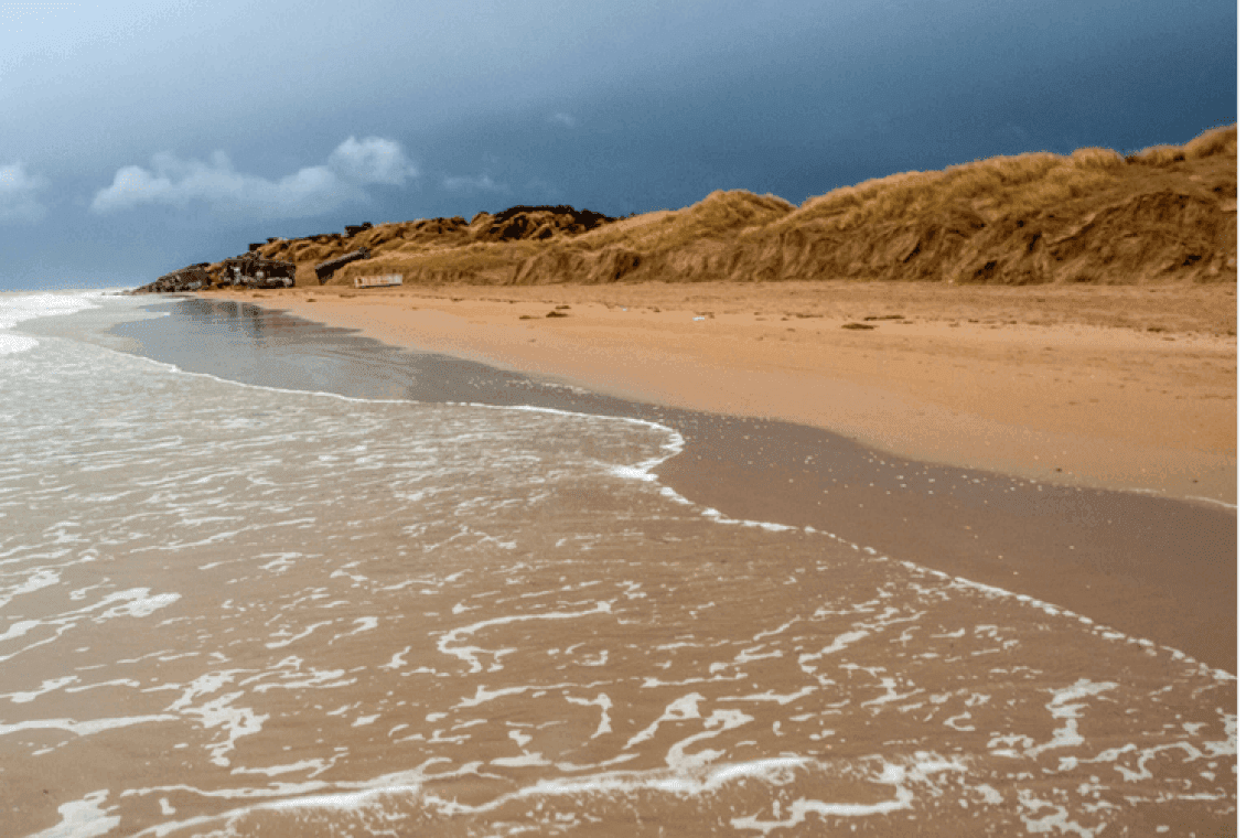 Plage Plage de Leffrinckoucke à Leffrinckoucke, chiens admis en laisse