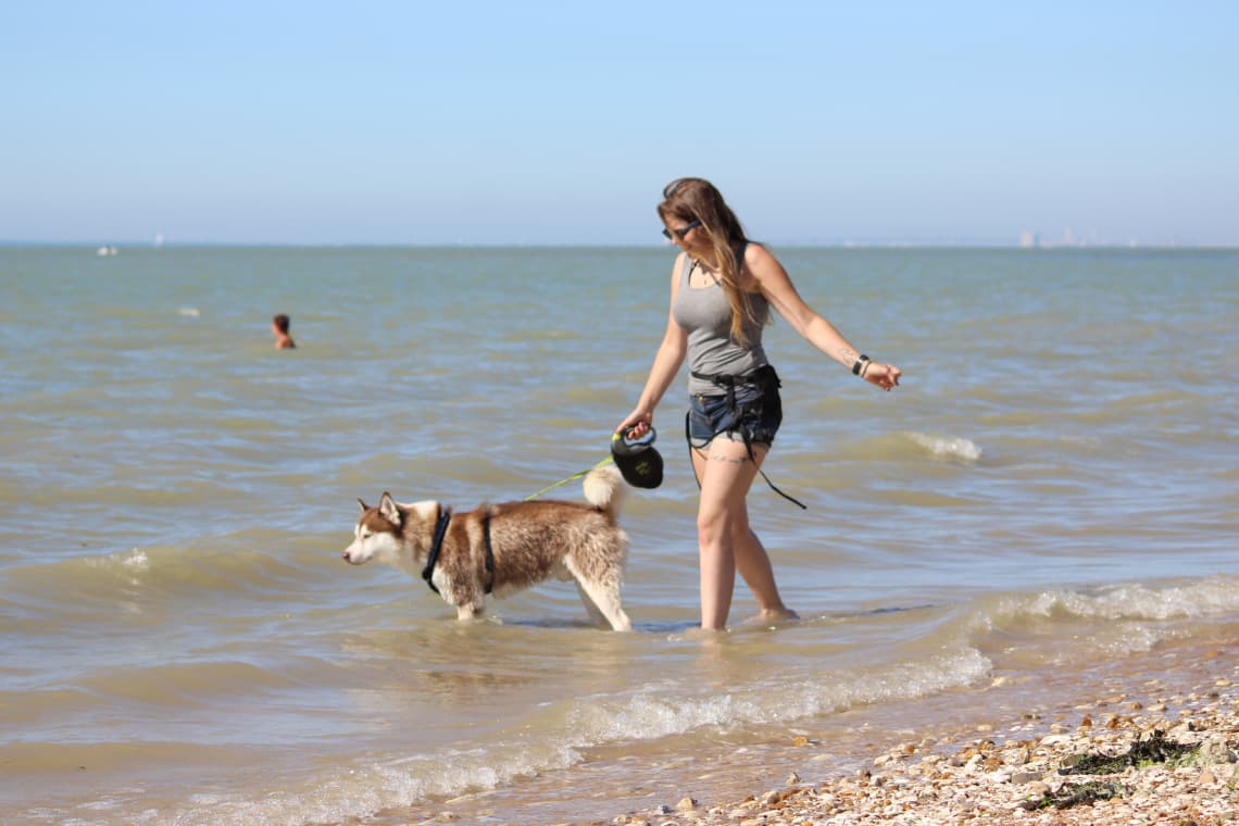 Plage Plage de la Moune à Gassin, chiens admis toute l'année