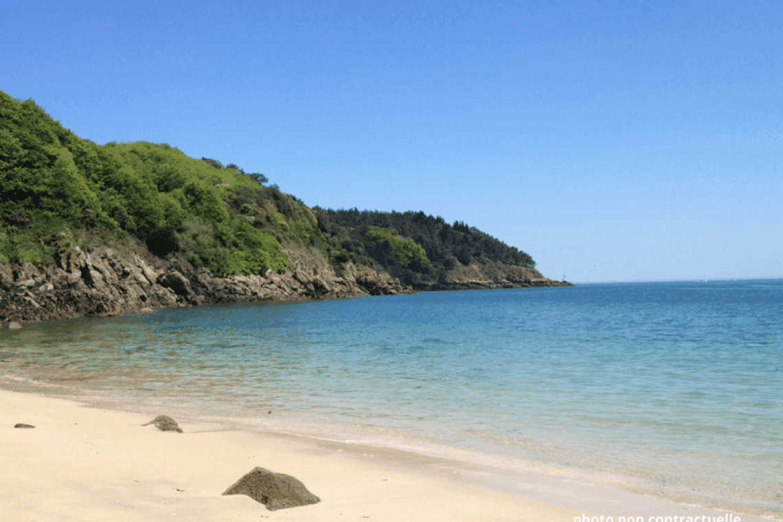 Plage Plage Remember – Mimizan à Mimizan, chiens admis en laisse