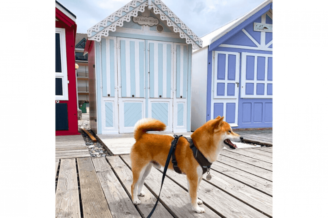 Grande plage de Cayeux – Cayeux sur mer