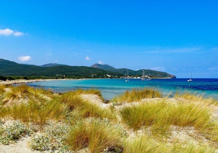 Plage Plage de Barcaggio à Ersa, chiens admis en laisse